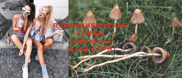 прущие крисы Горняк
