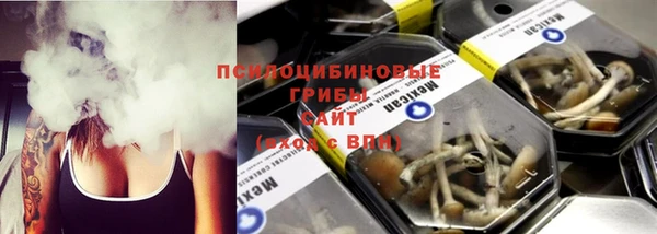 соль курить ск Горно-Алтайск