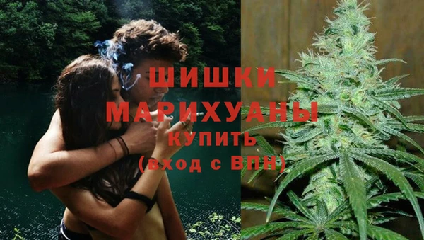 прущие крисы Горняк
