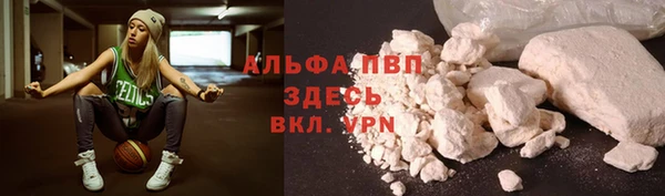 прущие крисы Горняк