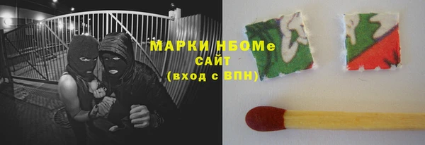 сатива Горнозаводск