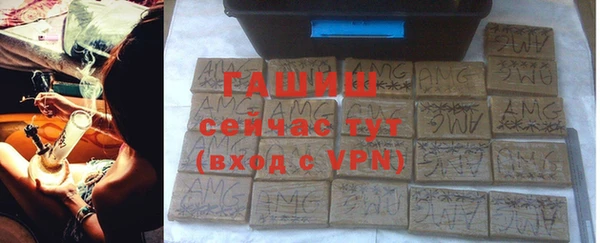 сатива Горнозаводск
