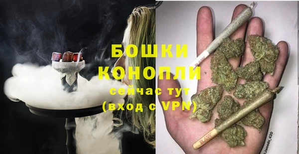 сатива Горнозаводск