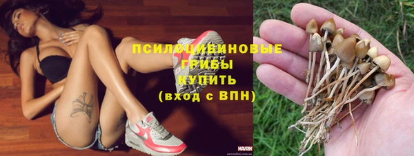 соль курить ск Горно-Алтайск